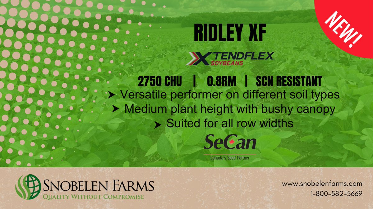 Plant with confidence with RIDLEY XF - a 2750 CHU XtendFlex soybean variety with SCN resistance. See more at: snobelenfarms.com/seed/soybeans #SnobelenSeeds #OntAg @SeCan
