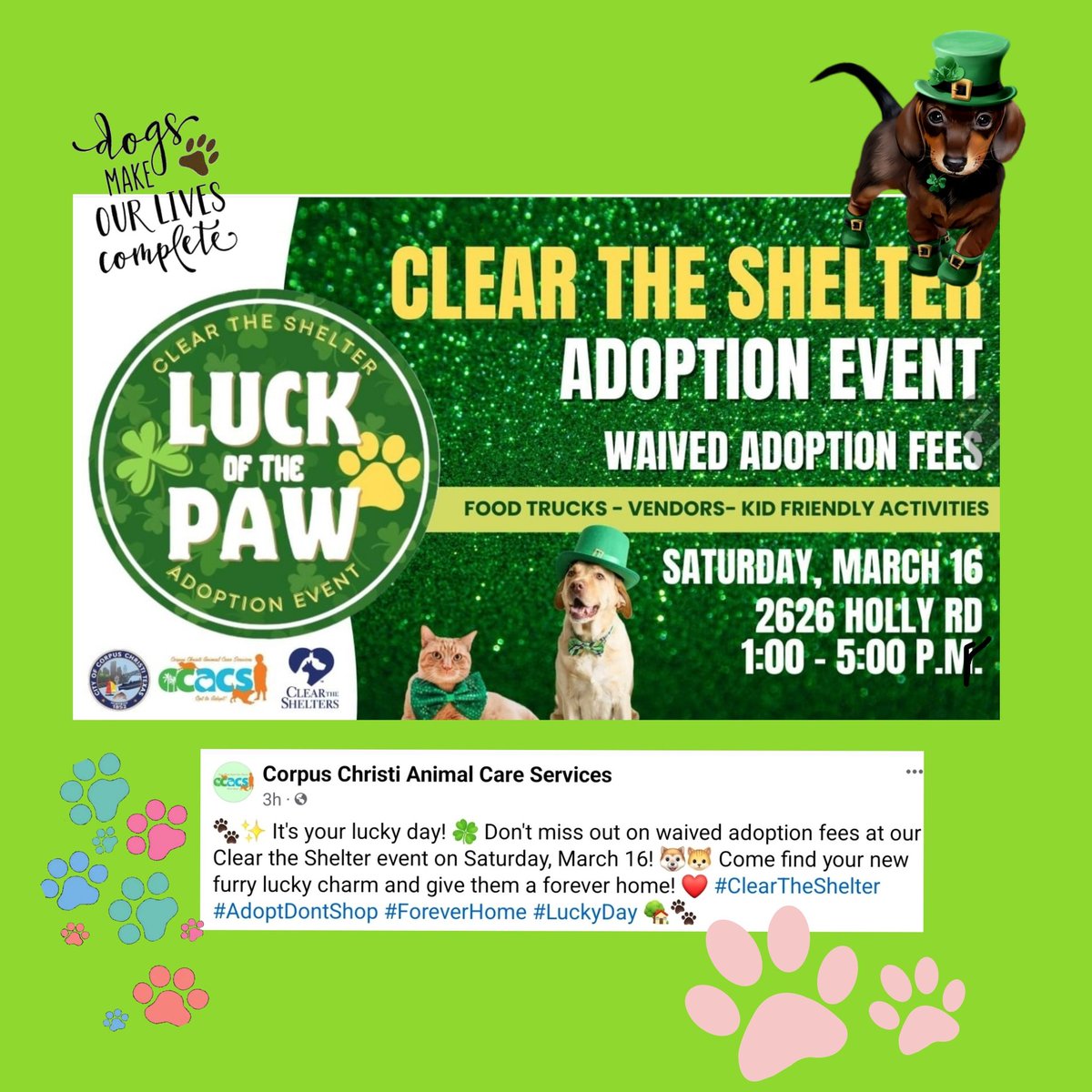 #CorpusChristiACS #CorpusChristi #TX
Adoption event, shelter support day 3/16/2023
Please help publicize this event #SavePetsLives