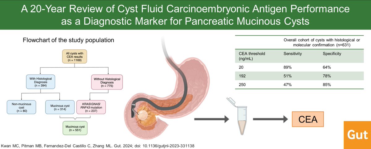 Gut_BMJ's tweet photo. #GUTAbstract by @melaniekwan et al on 

"Revisiting the performance of cyst fluid carcinoembryonic antigen as a diagnostic marker for pancreatic mucinous cysts..." via https://t.co/switmBSsbf

Paper: https://t.co/U8BA4GhWfI

@MLZhang @MGHPathology @MGH_GI @marthabpitman https://t.co/5YJ6xo1ArF