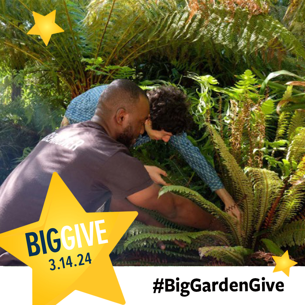 Please consider a gift by 9 pm tonight when #biggive ends. Your donation will be doubled with our $60,000 Big Give Match! Help us reach out $150,000 goal to support the Garden. Donate here: givingday.berkeley.edu/giving-day/767… - & please share! Photo: Holly Forbes #BigGardenGive #CalBigGive