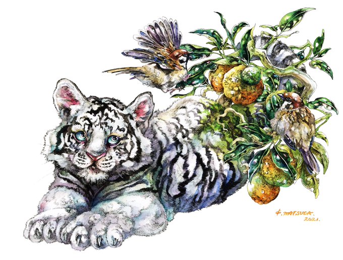 「animal focus signature」 illustration images(Latest)｜21pages