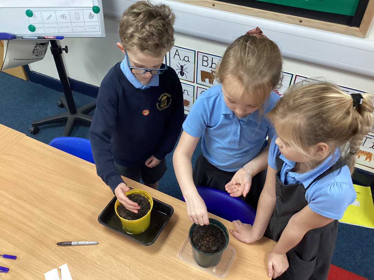 ComberbachMrsL's tweet photo. Year 2 are studying plant this half term. So, for our science week experiment, we have planted cress seeds and we are investigating whether they grow best inside, or outside 🪴 @ComberbachMissM #scienceweek #comberbachscience https://t.co/5xDIrVMGiL