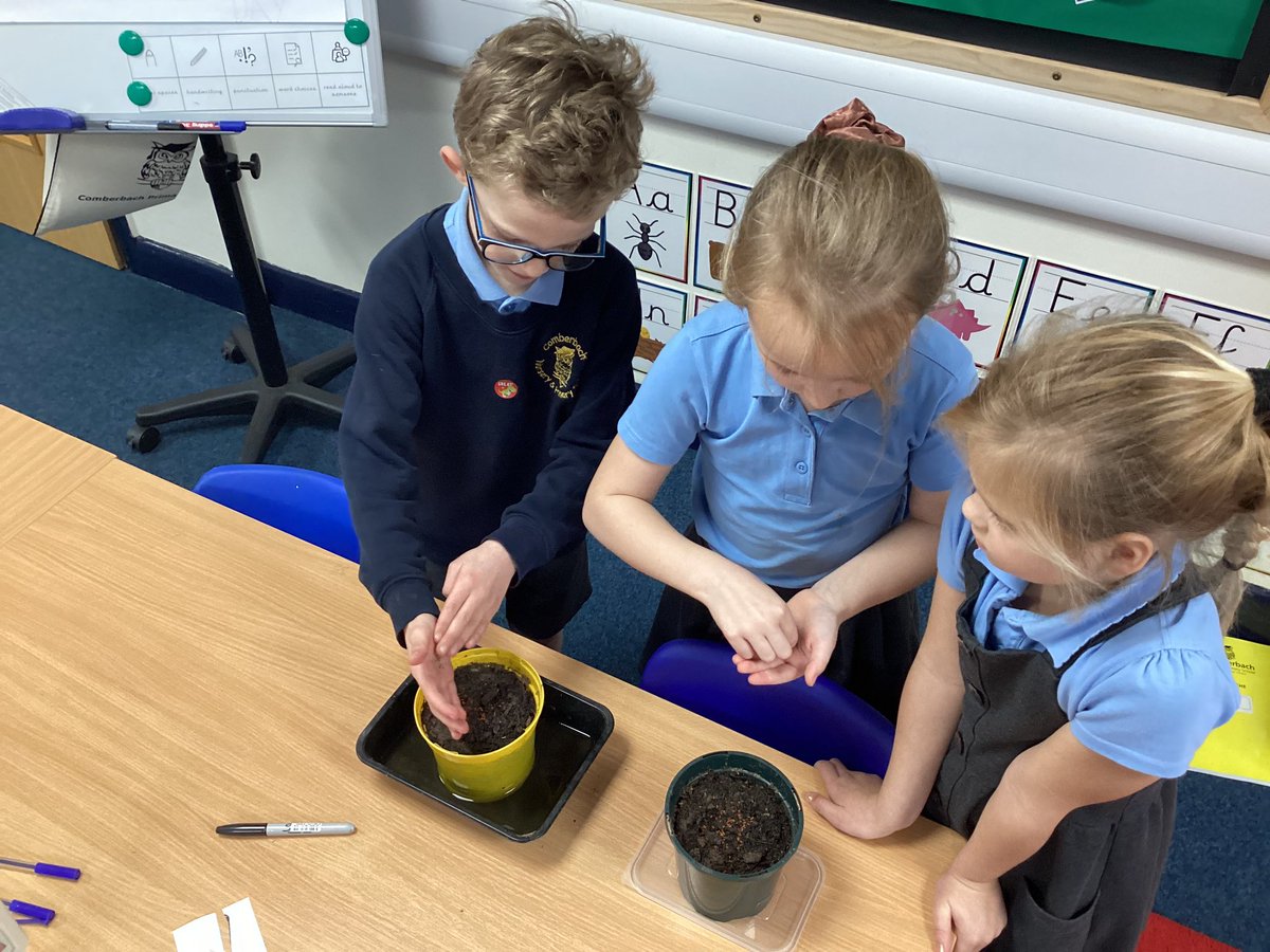 ComberbachMrsL's tweet photo. Year 2 are studying plant this half term. So, for our science week experiment, we have planted cress seeds and we are investigating whether they grow best inside, or outside 🪴 @ComberbachMissM #scienceweek #comberbachscience https://t.co/5xDIrVMGiL