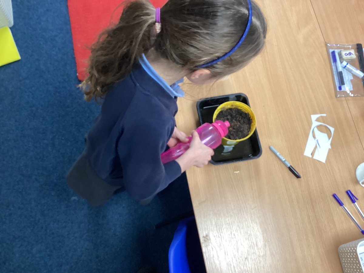 ComberbachMrsL's tweet photo. Year 2 are studying plant this half term. So, for our science week experiment, we have planted cress seeds and we are investigating whether they grow best inside, or outside 🪴 @ComberbachMissM #scienceweek #comberbachscience https://t.co/5xDIrVMGiL