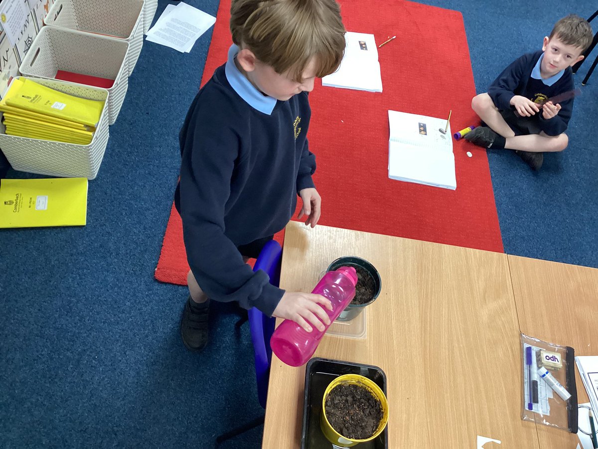 ComberbachMrsL's tweet photo. Year 2 are studying plant this half term. So, for our science week experiment, we have planted cress seeds and we are investigating whether they grow best inside, or outside 🪴 @ComberbachMissM #scienceweek #comberbachscience https://t.co/5xDIrVMGiL