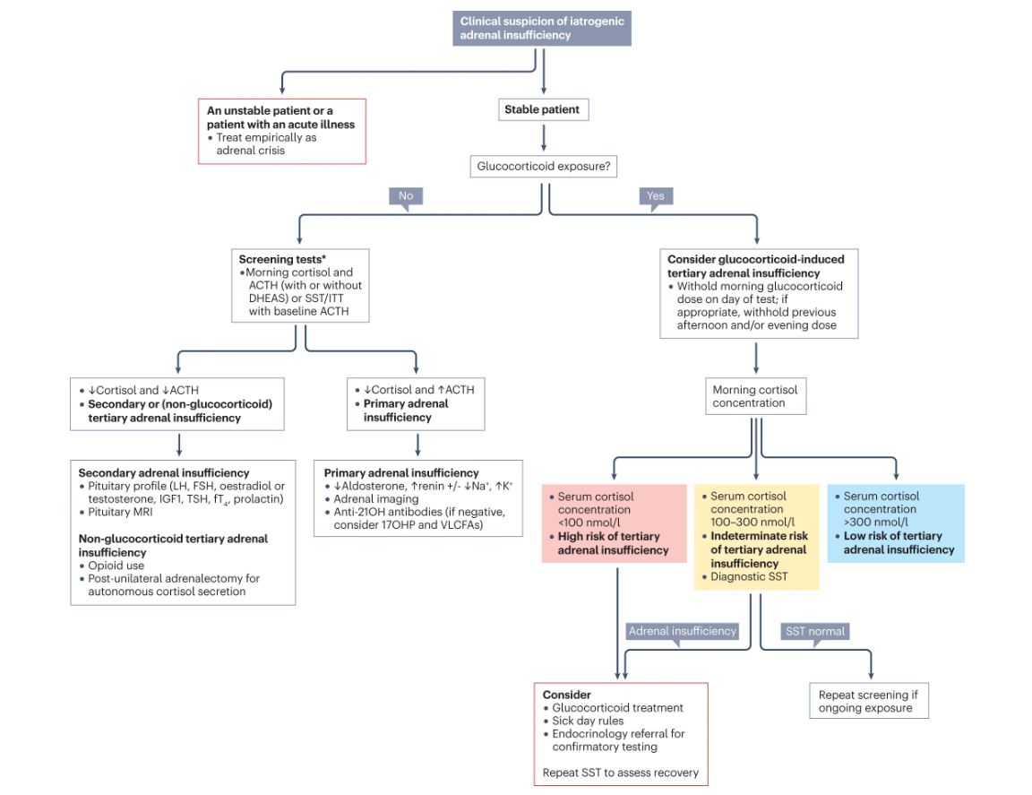 NatureRevEndo's tweet photo. Featured in our April issue: Mark Sherlock and colleagues discuss iatrogenic #adrenal insufficiency - risk factors, screening and treatment https://t.co/UsiBMom5dv https://t.co/8x4v1FwNEL