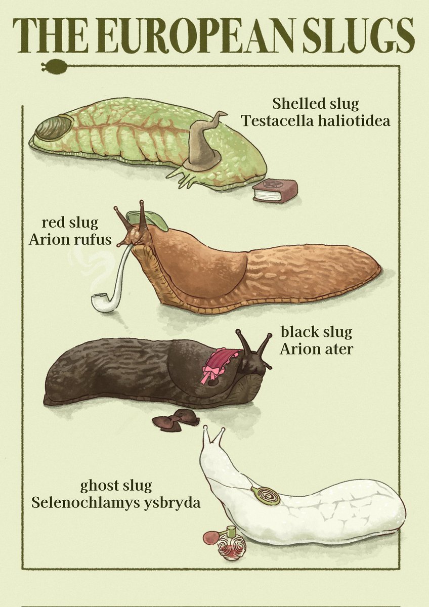 asihida_asihida's tweet photo. THE EUROPEAN SLUGS https://t.co/2s3srhXgLd