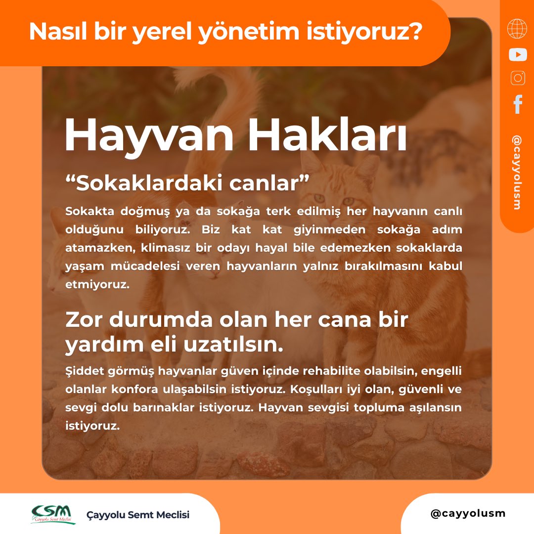 cayyolusm's tweet photo. Nasıl bir yerel yönetim istiyoruz?
Hayvan Hakları https://t.co/TlbMX7Ai54