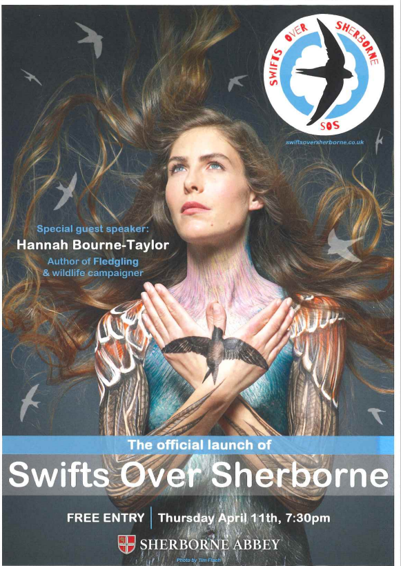 The official launch of Swifts over Sherborne on April 11th, 7.30 in Sherborne Abbey.