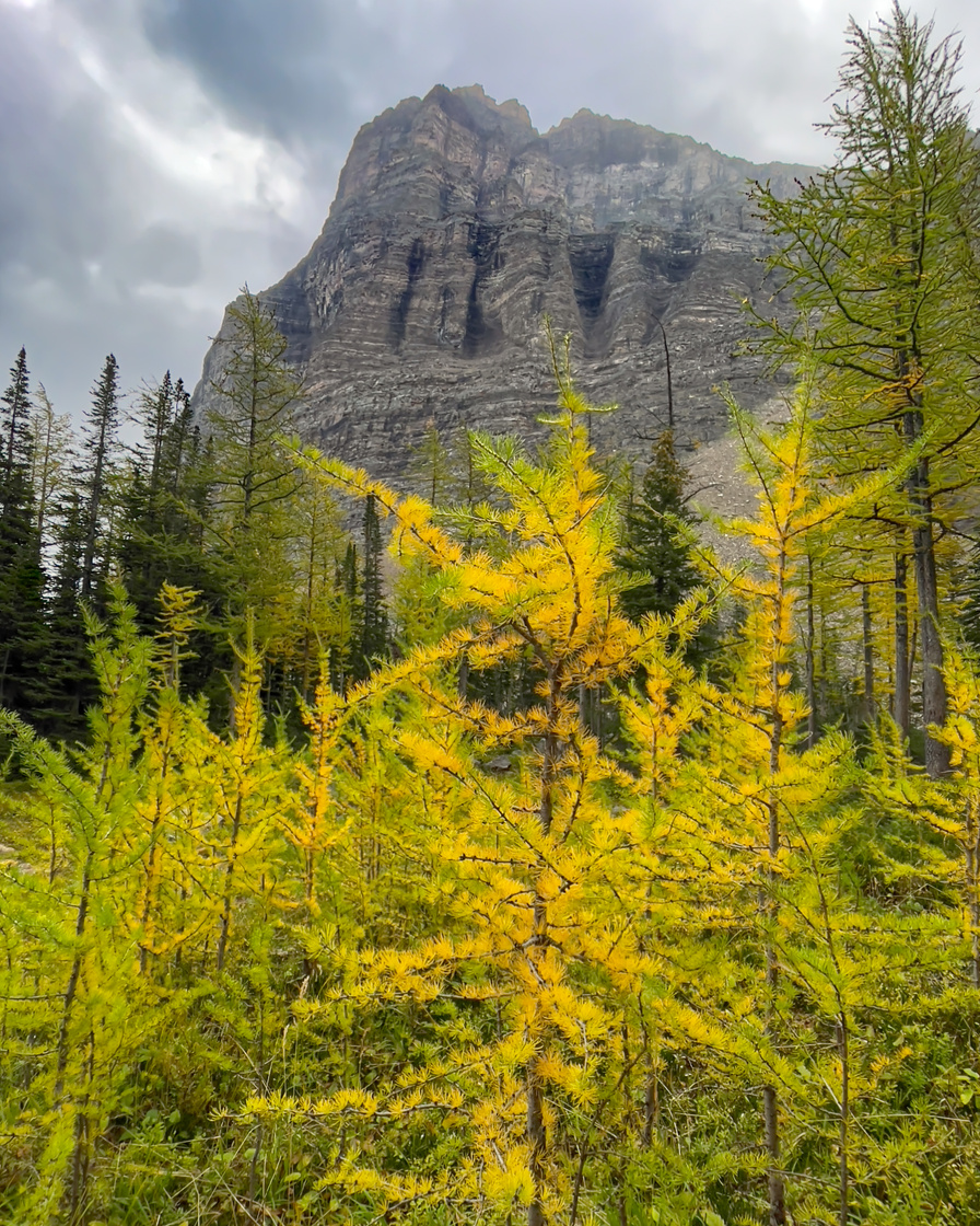 The many views of Mount Temple in Banff National Park
#hikemorainelake #hikelakelouise #giantstepswaterfall #giantsteps #paradisevalley #sheolmountain #mounttemple #lakelouisehiking #morainelakehiking