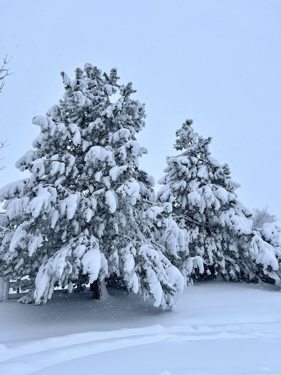 Katie McWilliams tweet media