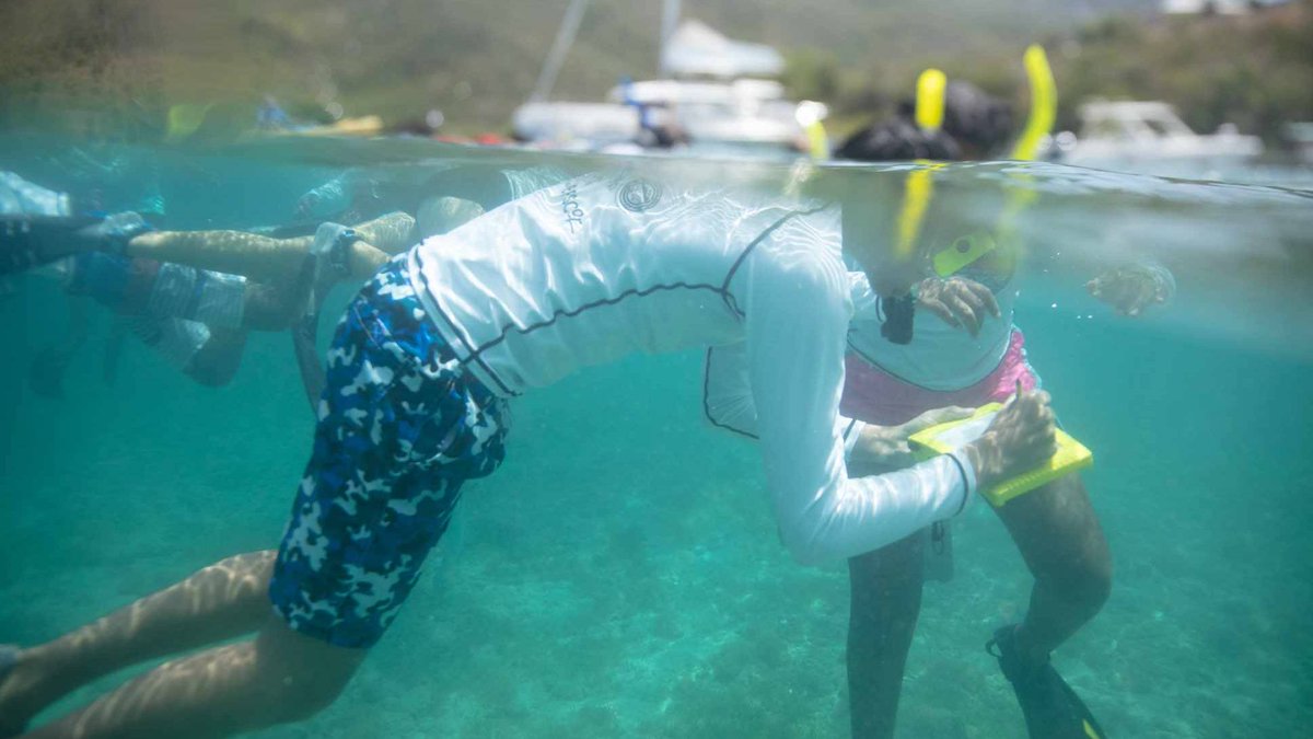 SeaGrant's tweet photo. #WhySeaGrant Registration for the @UVI_VIMAS Junior & Youth Ocean Explorers Summer Program, supported by @SeaGrantPR, is currently open! 🐠🤿
This program is perfect for students with a passion for #MarineScience & #STEAM Learn more: https://t.co/fcmk3O40HE https://t.co/3qLQMWktqH