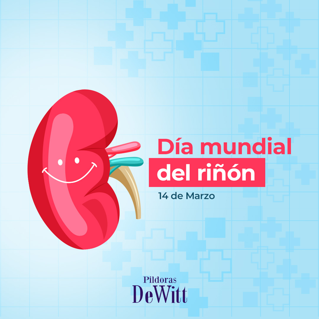 labsuizos's tweet photo. La salud de nuestros riñones es importante. Ante estas señales de alerta debes consultar a un médico🌟💧.

#labsuizos #innovandoconexcelencia #elsalvador #saludybienestar

*Leer las indicaciones del empaque. En caso de duda consulte a su farmacéutico. https://t.co/vvWvgeebUc