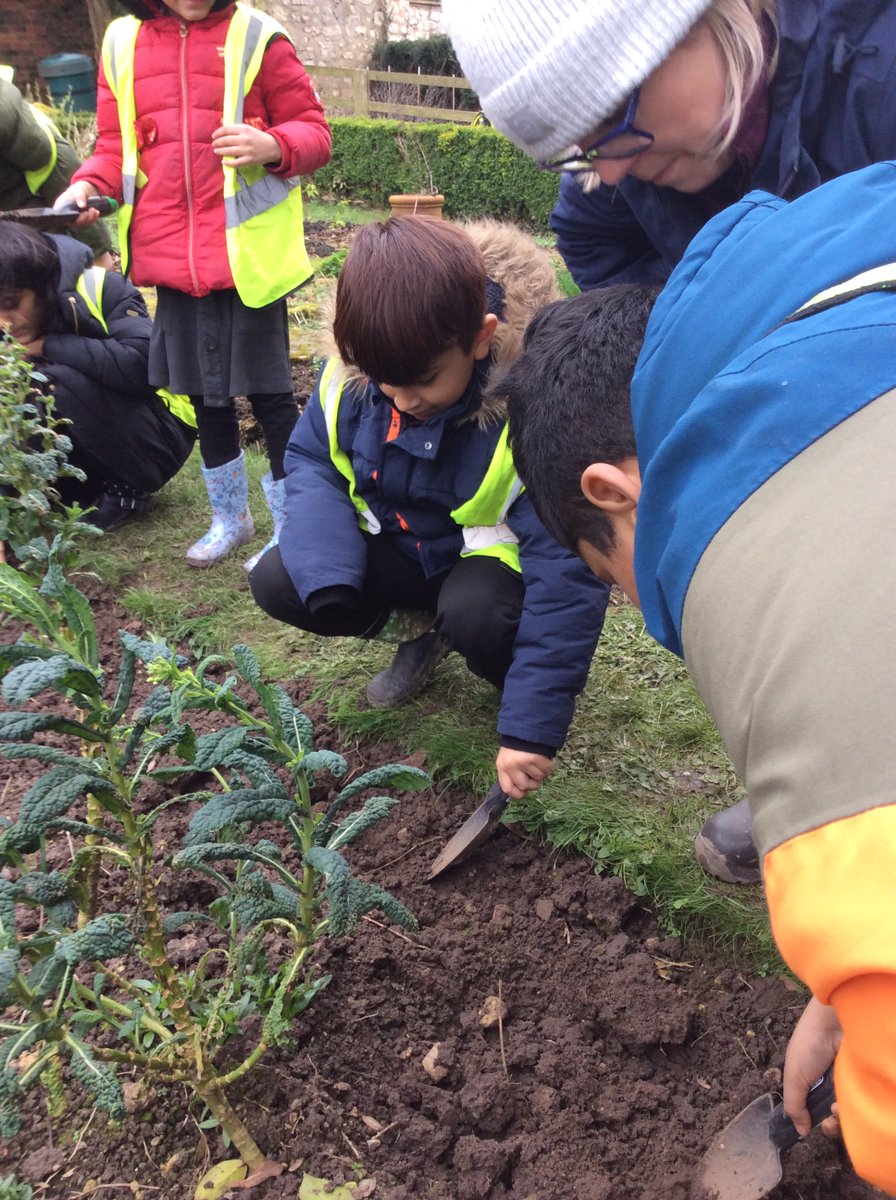 Lilycroft Primary tweet media