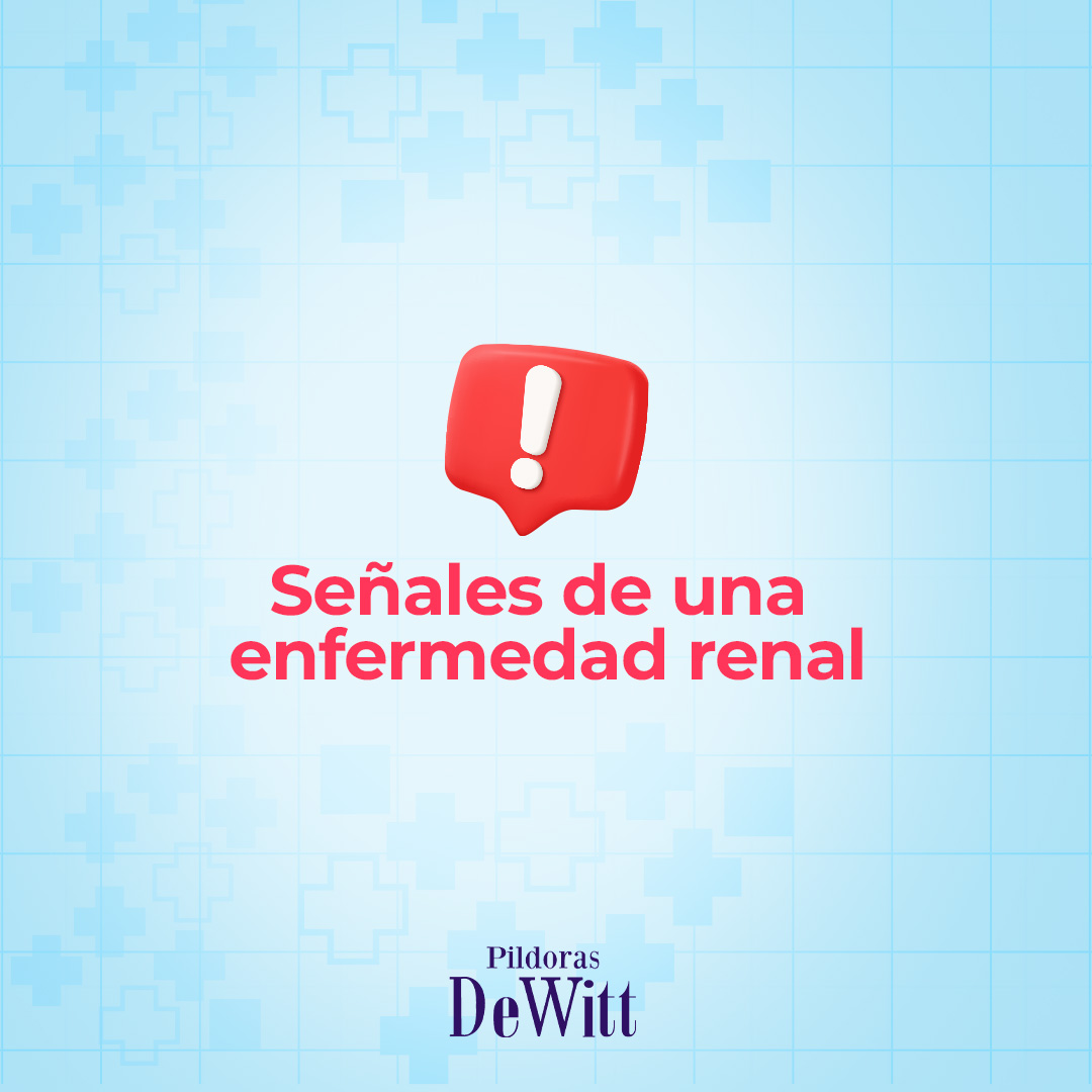 labsuizos's tweet photo. La salud de nuestros riñones es importante. Ante estas señales de alerta debes consultar a un médico🌟💧.

#labsuizos #innovandoconexcelencia #elsalvador #saludybienestar

*Leer las indicaciones del empaque. En caso de duda consulte a su farmacéutico. https://t.co/vvWvgeebUc