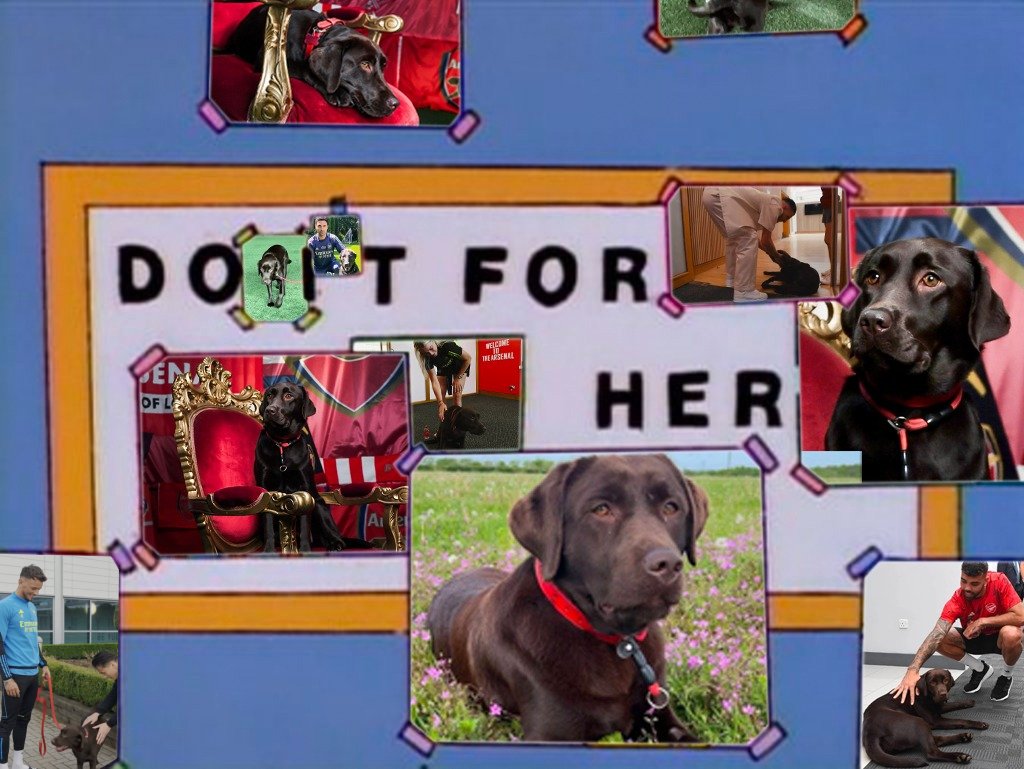 Working on some concepts for a new tifo.