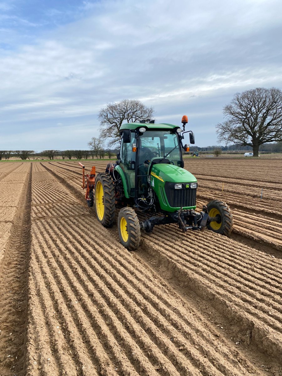 The NIAB team in eastern England busy drilling an onion variety trial at Thetford in Norfolk. Chris is at the front, with Will, Adam and Shaun involved too.