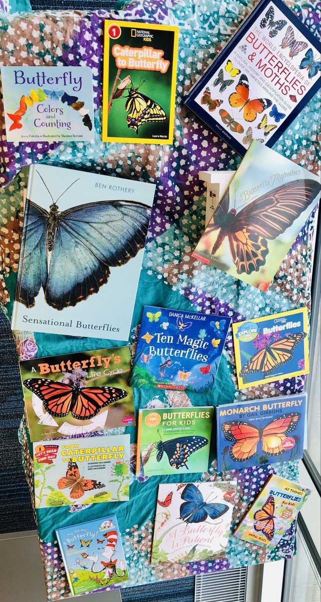 Today is National Learn About Butterflies Day! 🦋 This March 14, we are celebrating by donating a series of books to @lincolnliteracy as part of our employee book drive! Take a moment to learn about different types of butterflies and how important they are to our environment.🦋🧡