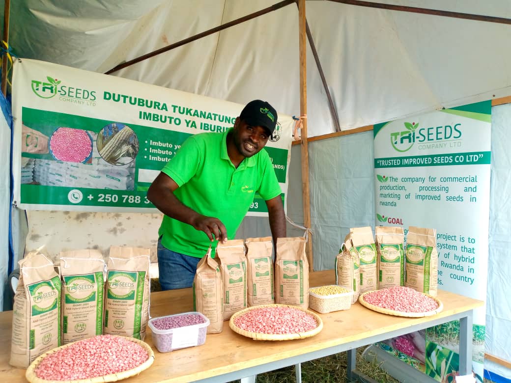 Triseeds1's tweet photo. Mu Karere ka Nyagatare hatangiye imurikabikorwa n’imurikagurisha rizamara iminsi itanu ryitabiriwe n'abafatanyabikorwa b'Akarere, @Triseeds1  nayo ikaba ihari abifuza imbuto zacu yaba imbuto y'ibigoli, ibishyimbo cg Soya yatugana kuri stand yacu tukamufasha @habimana_albert https://t.co/PjmnVjQCOr