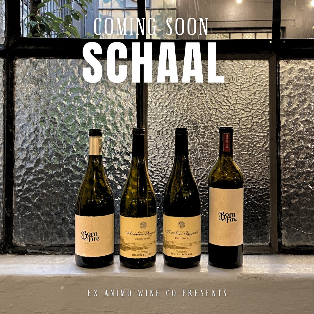 ExAnimoWineCo's tweet photo. COMING SOON: Julien and Sophie Schaal's new wines
Four wines from our favourite Frenchies π«π·β€οΈπΏπ¦
Find them soon in good wine shops across SA.
#exanimo #exanimowineco #winelover #southafrica #capetownsouthafrica #capewine #CheninBlanc #Syrah #Chardonnay #PinotNoir https://t.co/9250i1XPnj