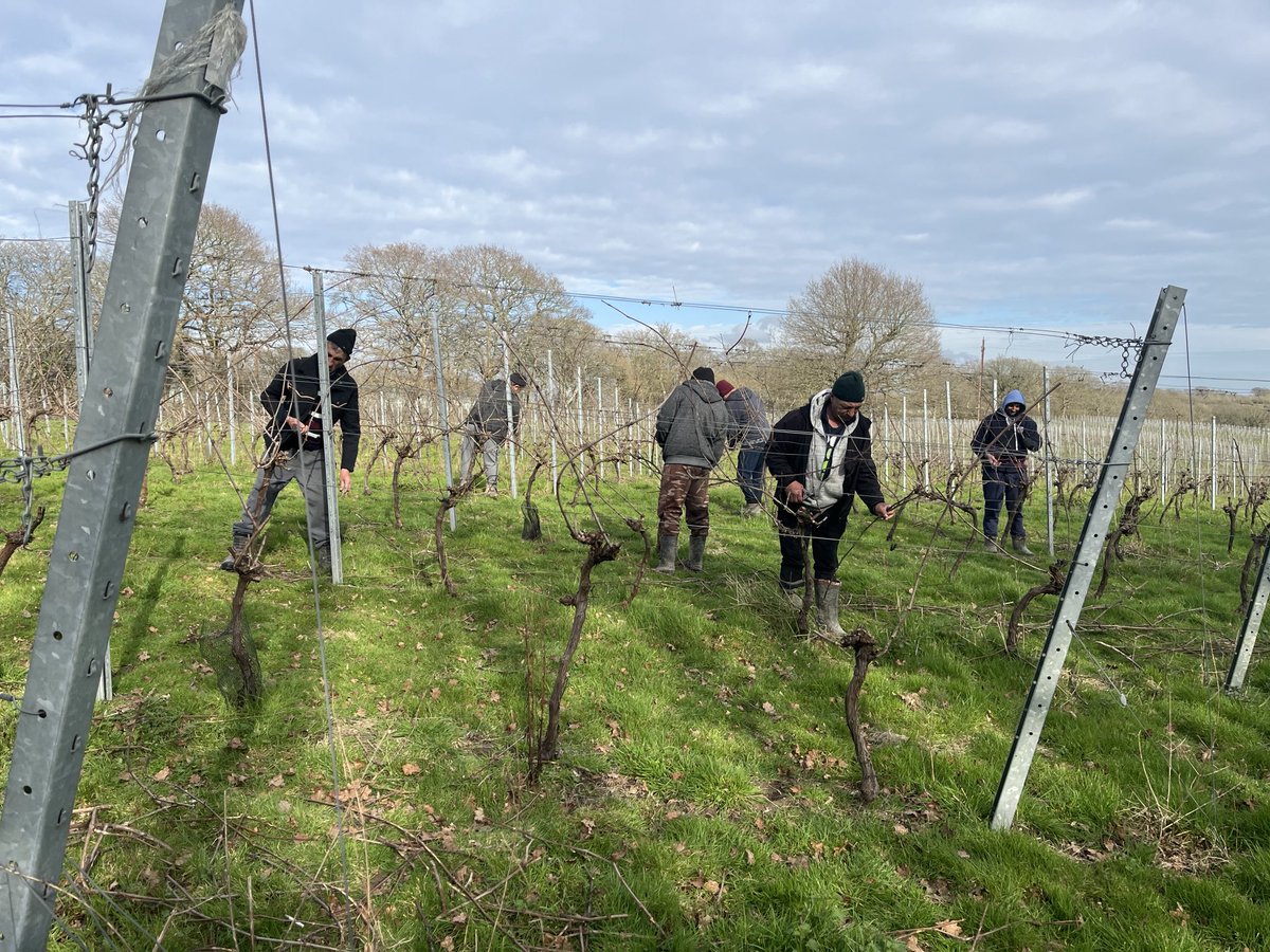 OffTheLine tweet media