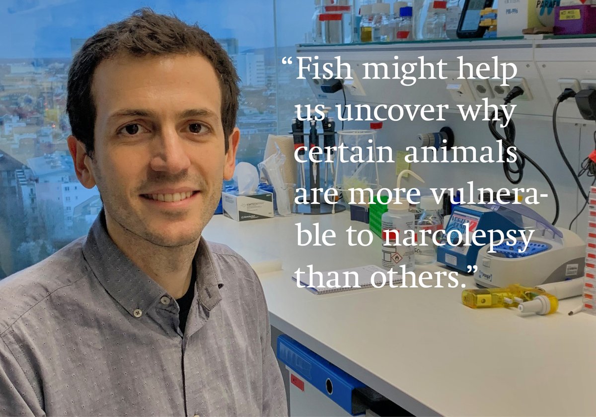 Not all vertebrates regulate their #sleep-wake rhythm in the same way. Vassilis Bitsikas <a href="/schierlab/">Alex Schier</a> <a href="/biozentrum/">Biozentrum, University of Basel</a> <a href="/UniBasel_en/">University of Basel</a> discovered, that some fish don’t need #orexin to stay awake. This changes our understanding of sleep regulation. <a href="/CurrentBiology/">Current Biology</a> ow.ly/fcja50QTmmy