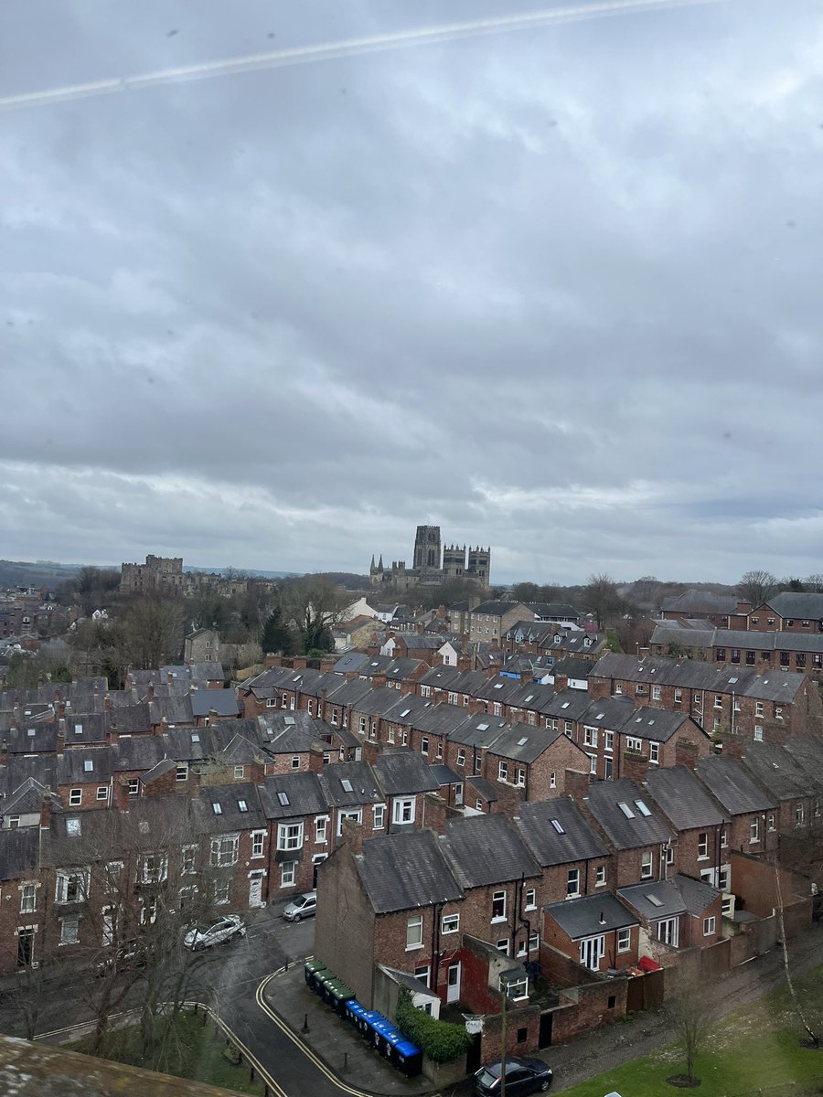 Cleves Cross Primary tweet media