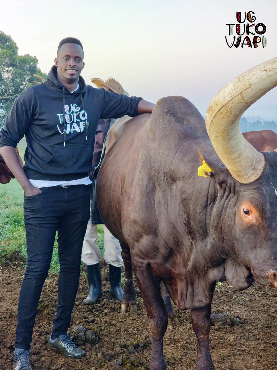 Wonder__jR's tweet image. Cowboy tings 🫶🏾

#ugtukowapi