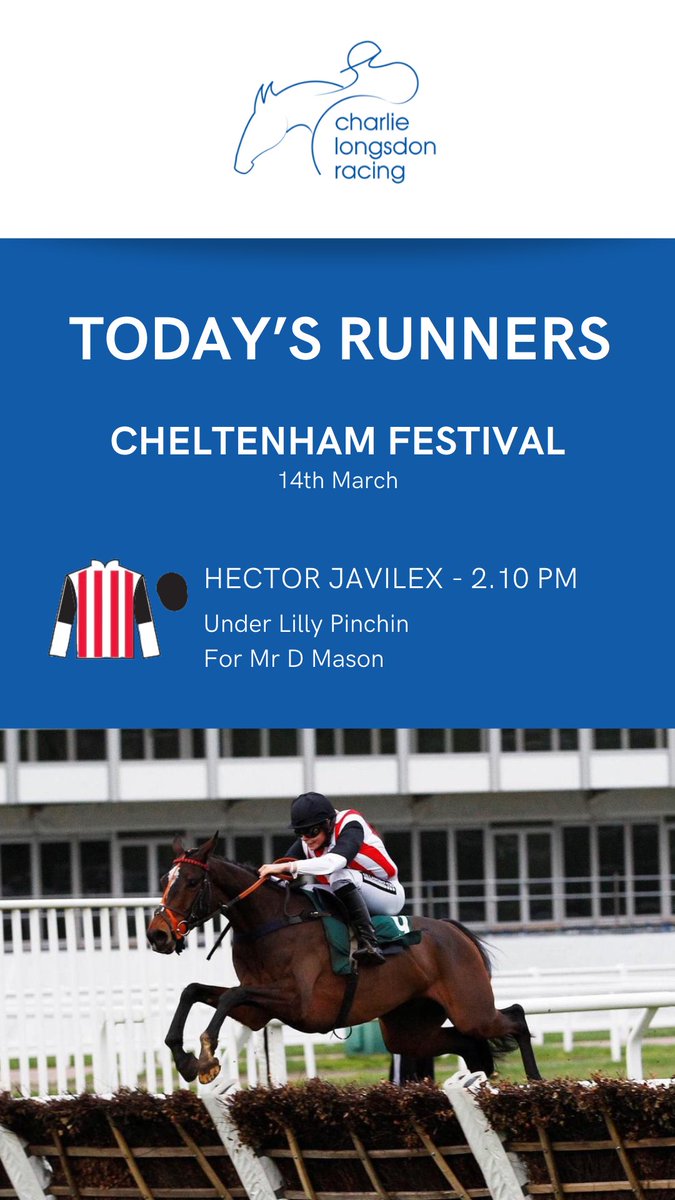 Hector Javilex runs today in the Pertemps Network Final at Cheltenham under @pinch1234 ⭐️