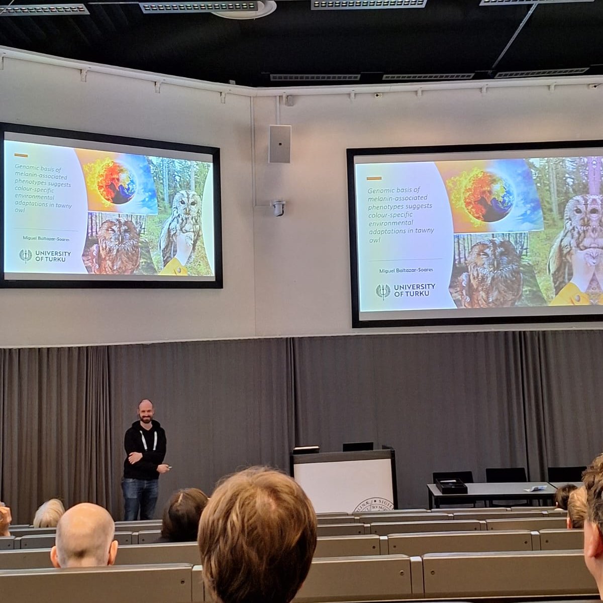 🦉🪶🧬 Great talk by @baltazar_soares from @UniTurku at #NordicOikos2024 ➡️ 'Genomic basis of melanin-associated phenotypes suggest colour-specific environmental adaptations in tawny owls'. Chaired by @AvianBiology Managing Editor @toblermichi_SE !