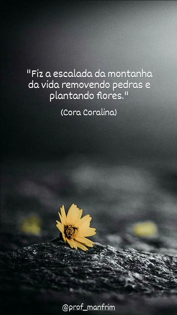 ProfManfrim's tweet photo. https://t.co/OzDerUgoJo