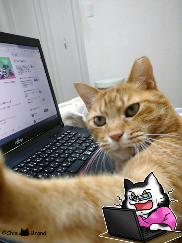mduartegisjaz's tweet photo. Getting a lot of replies lately? Turns out most of them are AI-generated...π₯ Feeling oddly empty π¨ Thanks for the love-filled replies everyone π AI repliers, your replies are I-rrelevant πΎ Is there some AI over there? π£
#AIreplies #catlovers #connectingwithcatlovers #CHIEBRAND https://t.co/Ckcac3ncEZ