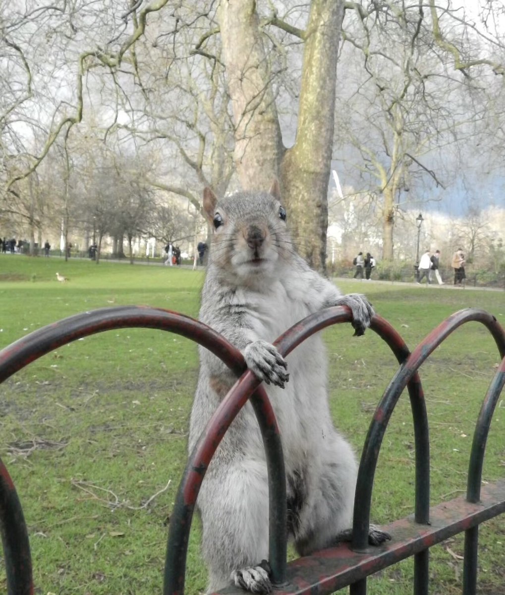 Its carefree life is so good