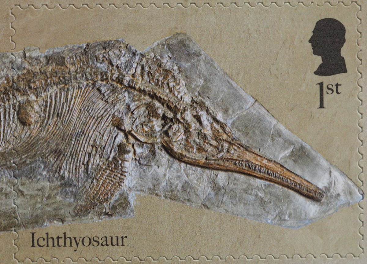 The #MaryAnning stamps feature an #ichthyosaur, of course, appropriately an example of Ichthyosaurus anningae, bought as Ichthyosaurus communis from Anning in the 1830s by what is now @NHM_London. Great to see that its #coprolite just makes it onto the left side of the stamp.