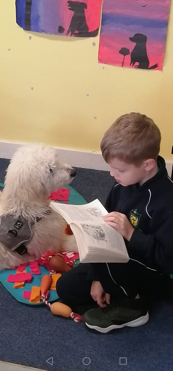 Third Class reading with Theo 📖🦮 @mycaninecompani #mycaninecompanion