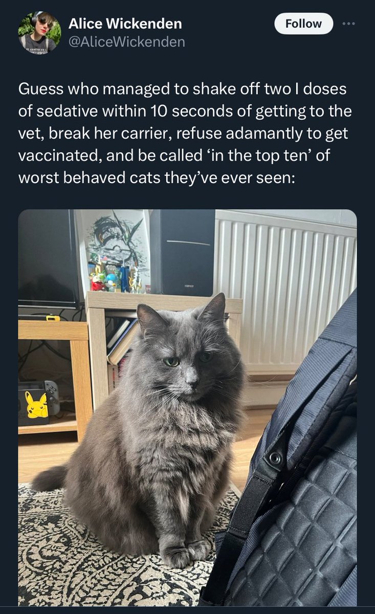 all hail our new leader