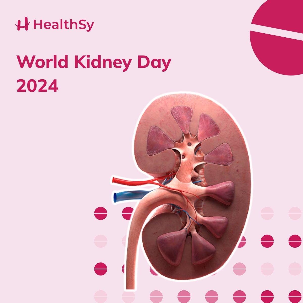 Explore the vital role kidneys play in our health & discover how you can contribute to promoting kidney wellness worldwide. Click here to learn more: healthsy.app/all-category-b…
#WorldKidneyDay #WorldKidneyDayTheme #KidneyStone #Nephrologist #KidneyDiseases #HealthSy #SincerelyYours