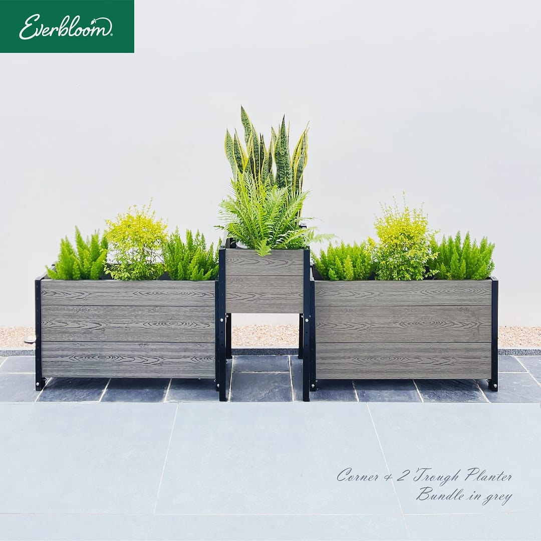 Everbloom Garden tweet media