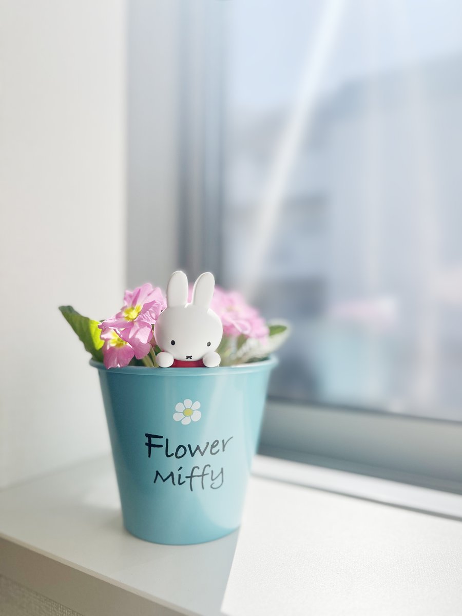 🌷気球にのったミッフィープランターカバー🌷 お家で簡単に楽しめる