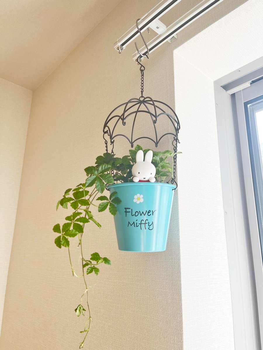 🌷気球にのったミッフィープランターカバー🌷 お家で簡単に楽しめる