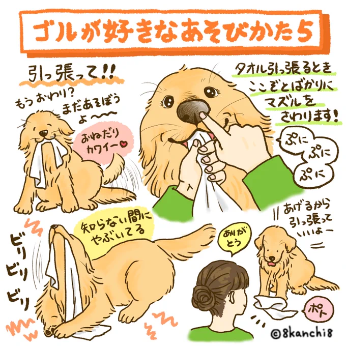 ゴルが好きな遊び方まとめ5〜7
#ゴールデンレトリバー
#犬のイラスト #大型犬 