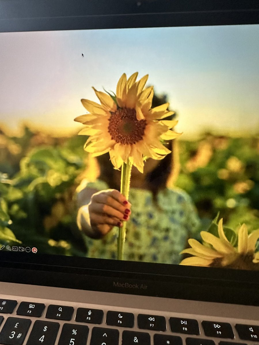 Picking this picture in memory of both my late friend and my nana’s favourite flowers. Promoting happiness, growth and brighter days #150Leaders