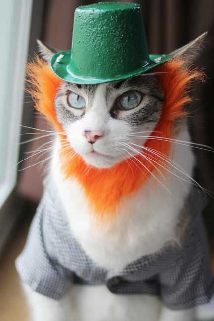 Kiss me. I'm Irish
#StPatricksDay2024
