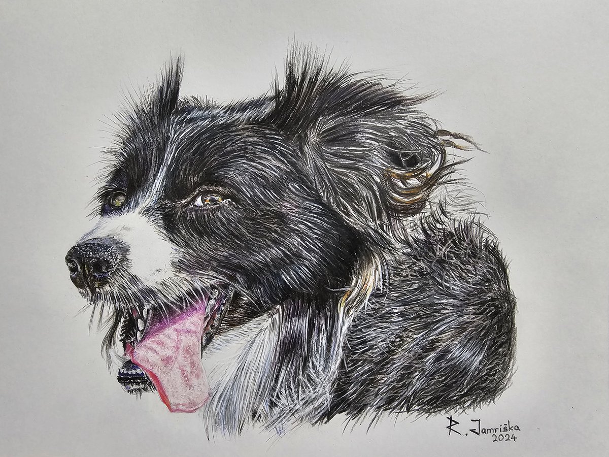 Roman Jamriska ART (@jamriskaroman) on Twitter photo 