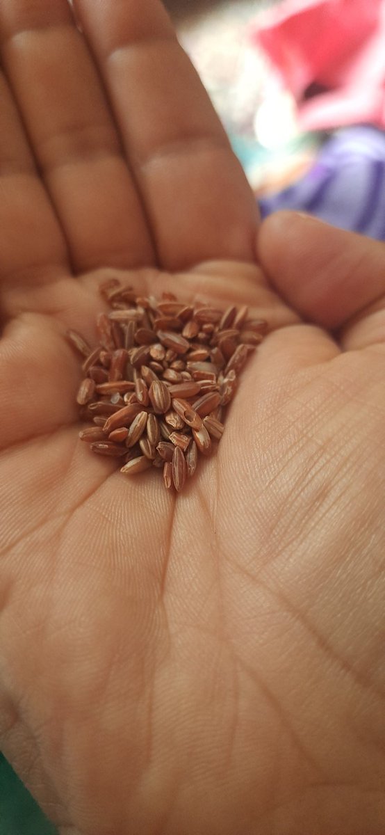 Making this beauty today, Zagg in Kashmiri, also called red rice.