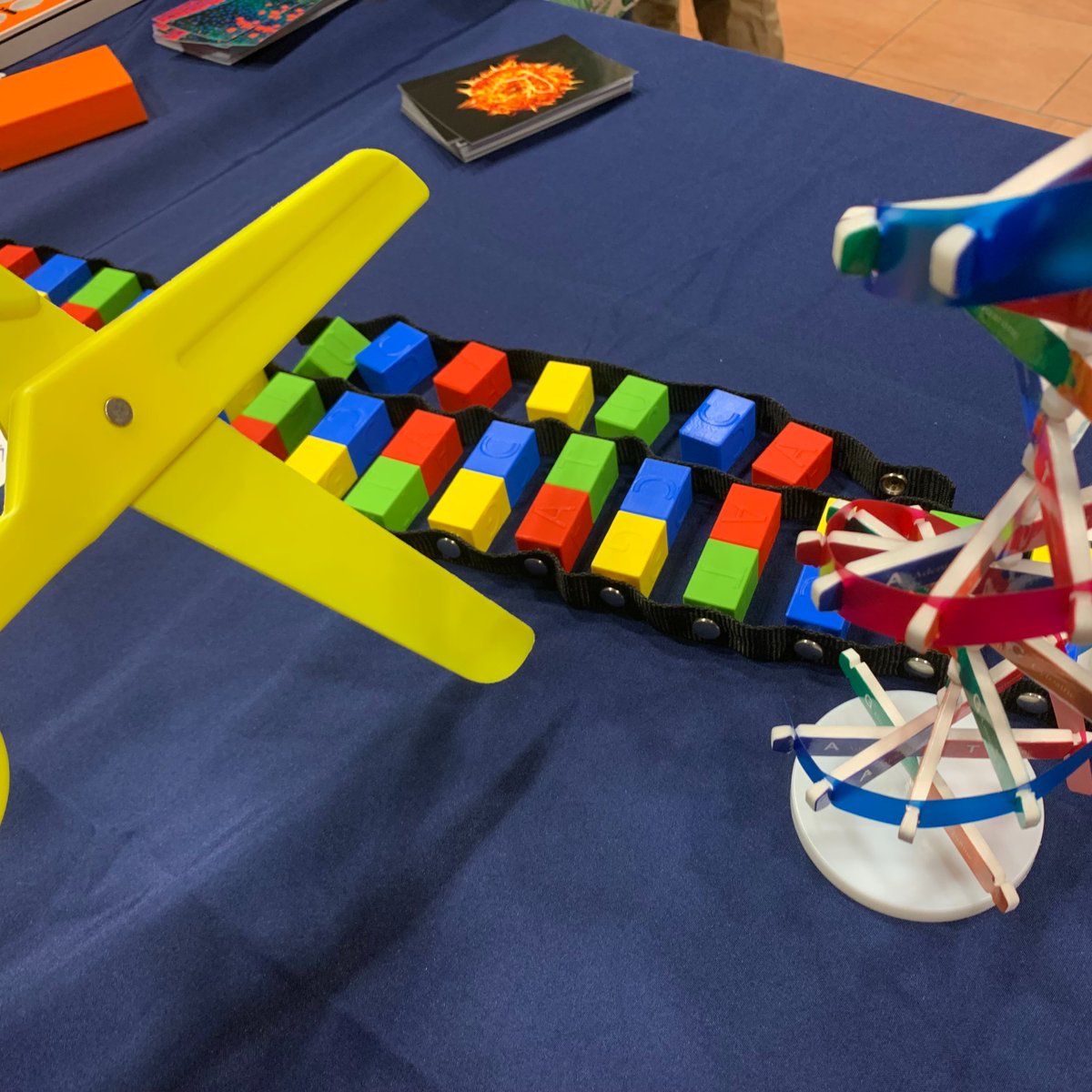 This Saturday, researchers from the @milnetom68, @andiroy and @awilkinsongroup labs will be at @ATOMSciFest's Science Market showcasing some of our gene editing activities 🧬✂️🦴 🗓️ Come and visit our stall in Abingdon Market Place 10am-3pm on the 16th March!