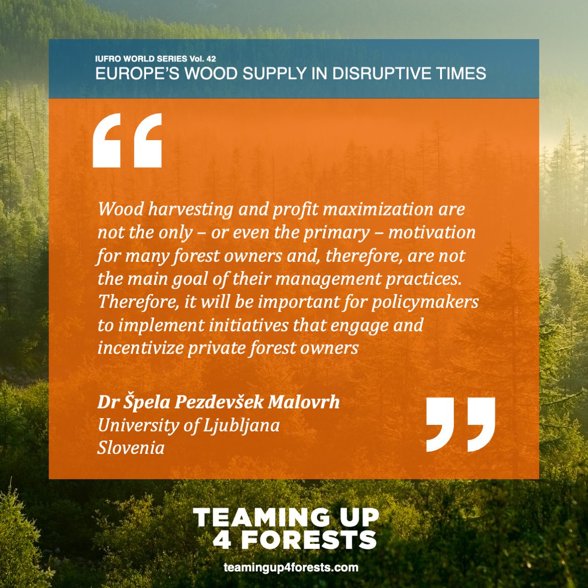 📢Calling all stakeholders in the wood value chain! Don't miss our webinar on 18 March at 13:00 CET, where we'll explore the intersection of science, business, and policy in shaping Europe's wood supply. 🔗 teamingup4forests.com/webinar-europe… #ForestScience #ForestResearch #IntlForestDay