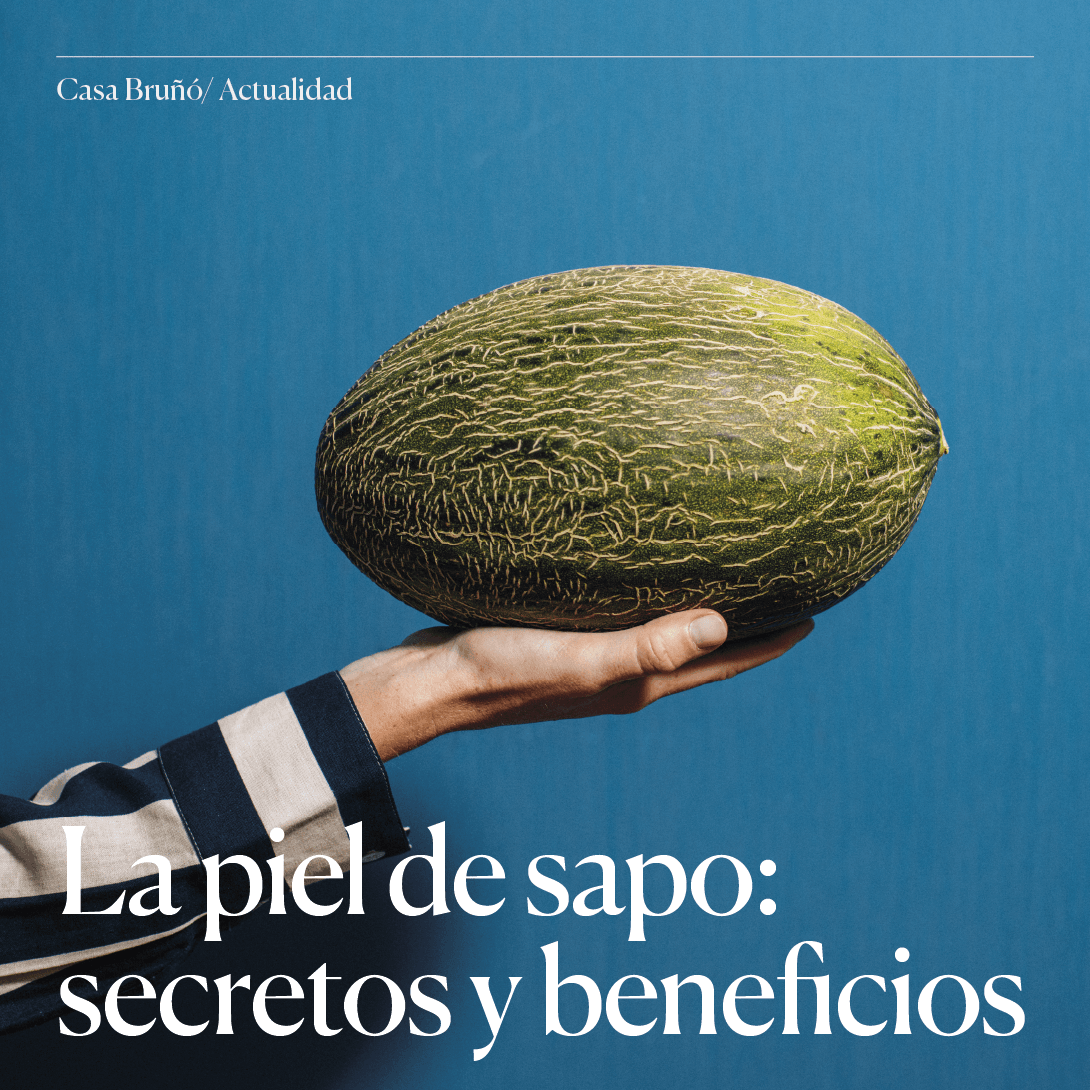 ¿Conoces los secretos de la piel de sapo? Te contamos sus beneficios a través de nuestra web de #CasaBruño

frutasbruno.com/la-piel-de-sap…