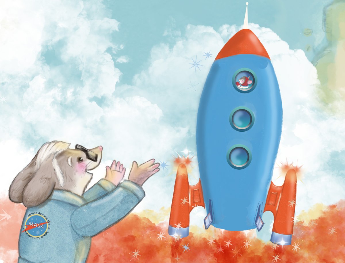 LIFT OFF! @NASA @TomMouseHQ #space #astronauts #Rocket #adventure #kidsbook #illustrations