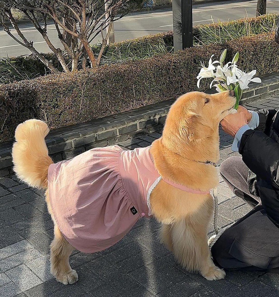 มีดอกไม้มาให้ค้าบ พี่สาวคนสวย🌷